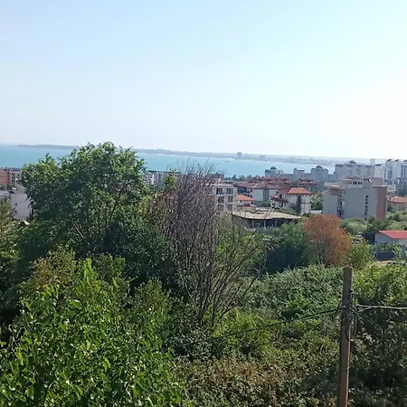 Studio A Szveti Vlasz